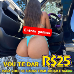 688x Segurança